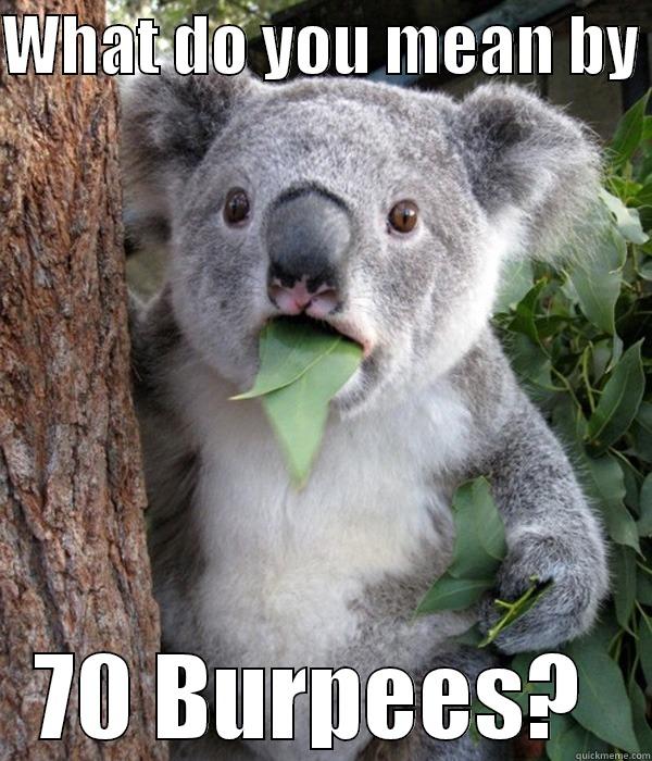 WHAT DO YOU MEAN BY  70 BURPEES?  koala bear