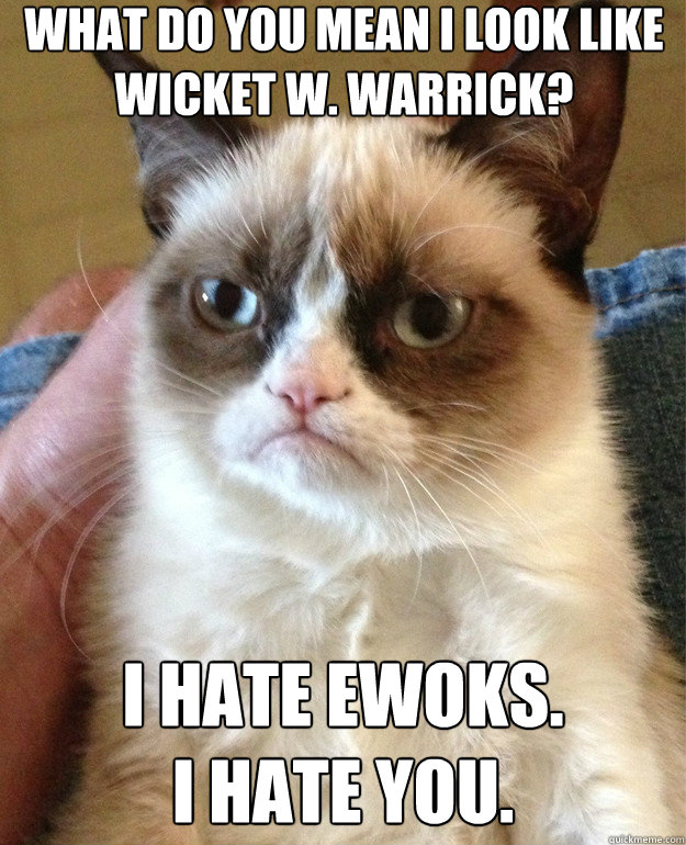 what-do-you-mean-i-look-like-wicket-w-warrick-i-hate-ewoks-i-hate