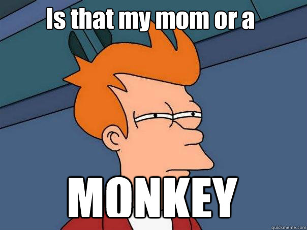 Is that my mom or a MONKEY  Futurama Fry