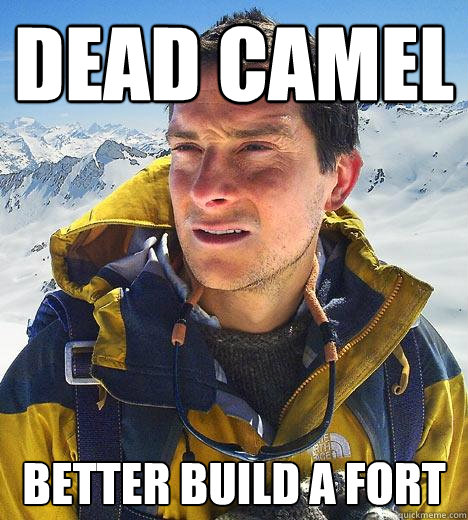 Dead Camel better build a fort  Bear Grylls