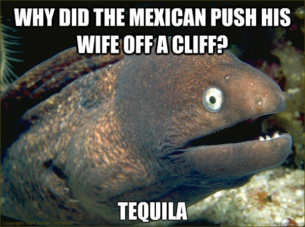 Why did the mexican push his wife off a cliff? Tequila - Why did the mexican push his wife off a cliff? Tequila  Bad Joke Eel