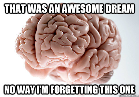 that was an awesome dream no way i'm forgetting this one  Scumbag Brain