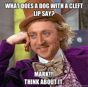 What does a dog with a cleft lip say? Mark!!!
Think about it.  Condescending Wonka