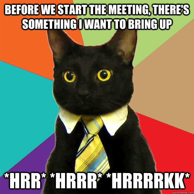 Before we start the meeting, there's something I want to bring up *hrr* *hrrr* *hrrrrkk*  Business Cat