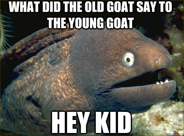 WHAT DID THE OLD GOAT SAY TO THE YOUNG GOAT HEY KID - WHAT DID THE OLD GOAT SAY TO THE YOUNG GOAT HEY KID  Bad Joke Eel