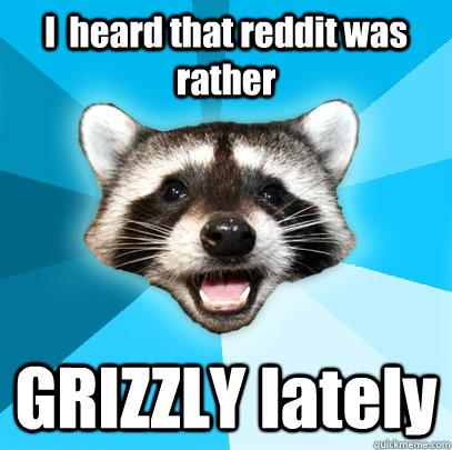 I  heard that reddit was rather GRIZZLY lately  Lame Pun Coon