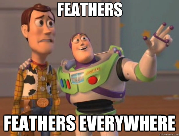 Feathers Feathers everywhere  Toy Story