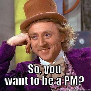  SO, YOU WANT TO BE A PM? Condescending Wonka