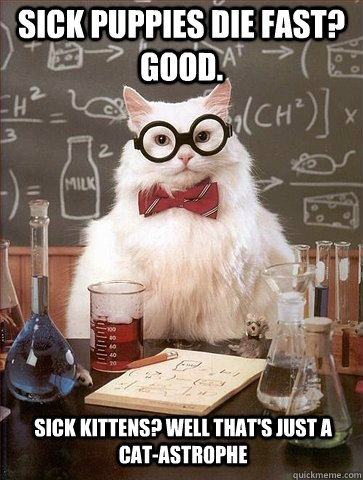 Sick puppies die fast? Good. Sick kittens? Well that's just a cat-astrophe - Sick puppies die fast? Good. Sick kittens? Well that's just a cat-astrophe  Chemistry Cat