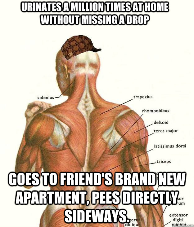 Urinates a million times at home without missing a drop Goes to friend's brand new apartment, pees directly sideways.  Scumbag body