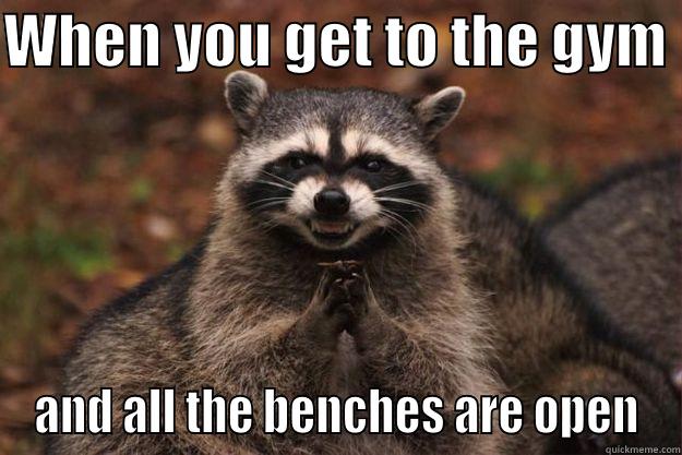 WHEN YOU GET TO THE GYM  AND ALL THE BENCHES ARE OPEN Evil Plotting Raccoon