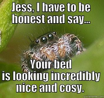 Your bed is awesome, Jess - JESS, I HAVE TO BE HONEST AND SAY... YOUR BED IS LOOKING INCREDIBLY NICE AND COSY.  Misunderstood Spider