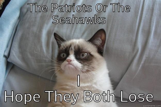 THE PATRIOTS OR THE SEAHAWKS I HOPE THEY BOTH LOSE Grumpy Cat