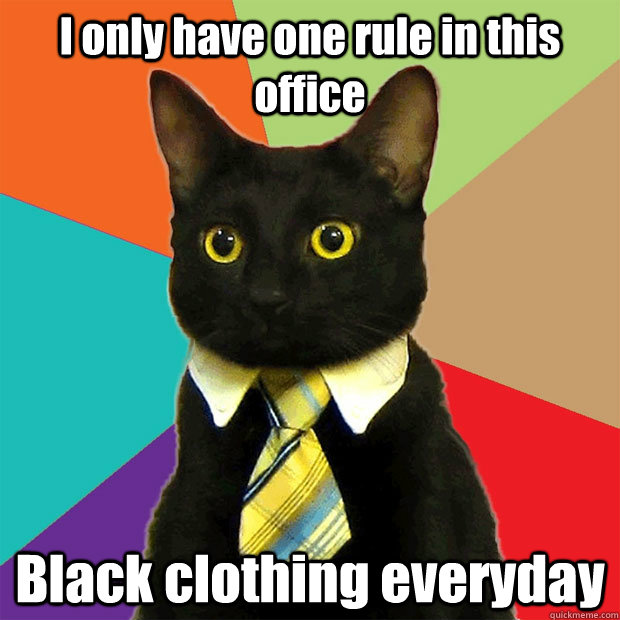 I only have one rule in this office Black clothing everyday  Business Cat