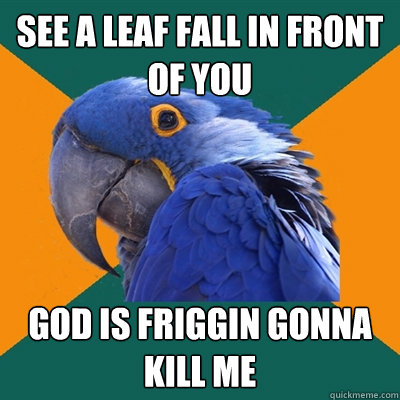 See a leaf fall in front of you God is friggin gonna kill me  Paranoid Parrot