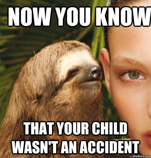 now you know that your child wasn't an accident  rape sloth