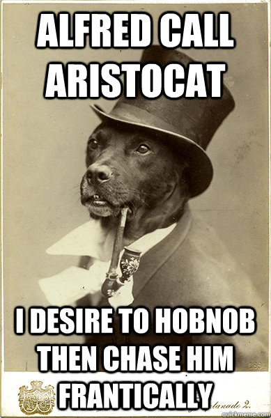 Alfred call aristocat i desire to hobnob then chase him frantically  Old Money Dog