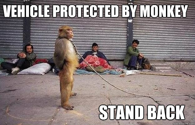 vehicle protected by monkey stand back  