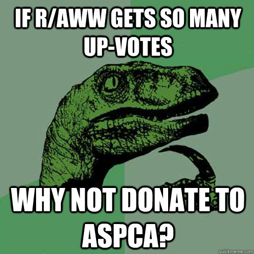 if r/aww gets so many up-votes why not donate to aspca? - if r/aww gets so many up-votes why not donate to aspca?  Philosoraptor