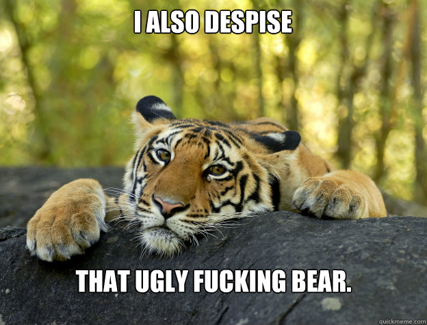 I ALSO DESPISE THAT UGLY FUCKING BEAR.  Confession Tiger