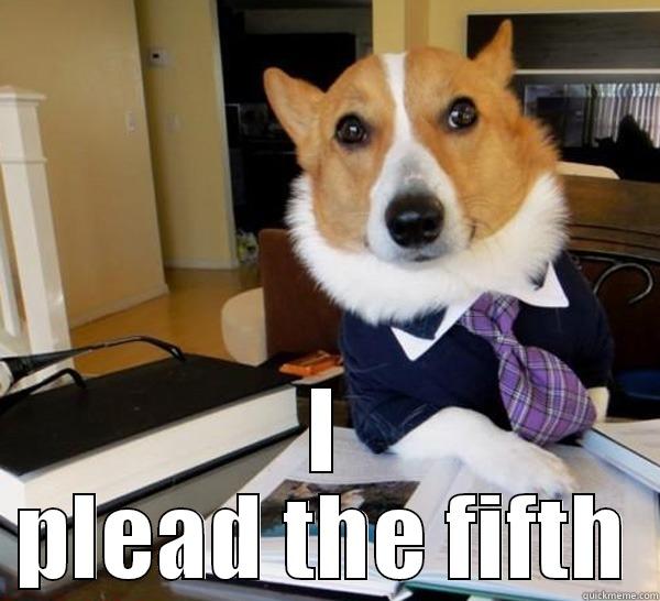  I PLEAD THE FIFTH Lawyer Dog