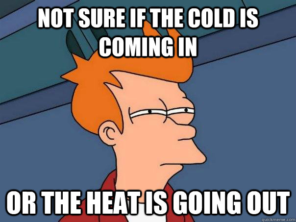 Not sure if the cold is coming in Or the heat is going out  Futurama Fry