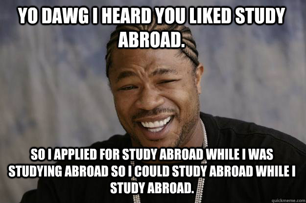 YO DAWG I HEARd you liked study abroad. So I applied for study abroad while I was studying abroad so i could study abroad while i study abroad. - YO DAWG I HEARd you liked study abroad. So I applied for study abroad while I was studying abroad so i could study abroad while i study abroad.  Xzibit meme