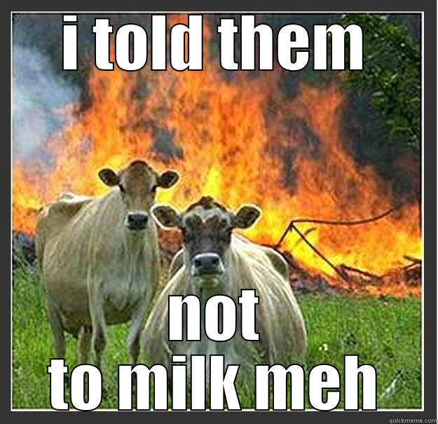 I TOLD THEM NOT TO MILK MEH Evil cows