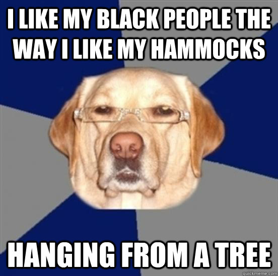 I like my black people the way i like my hammocks hanging from a tree  