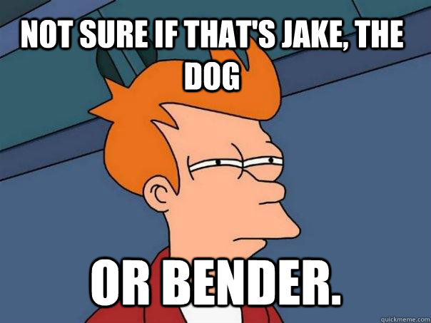 Not sure if that's Jake, the dog Or Bender.   Futurama Fry