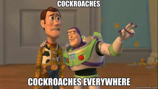 Cockroaches cockroaches everywhere - Cockroaches cockroaches everywhere  Everywhere