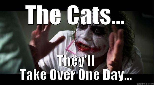 THE CATS... THEY'LL TAKE OVER ONE DAY... Joker Mind Loss