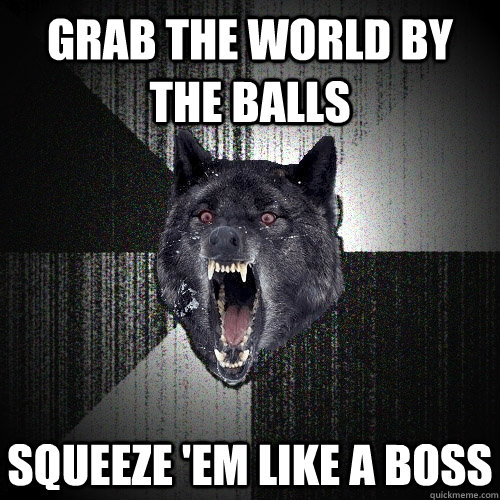 grab the world by the balls squeeze 'em like a boss  Insanity Wolf