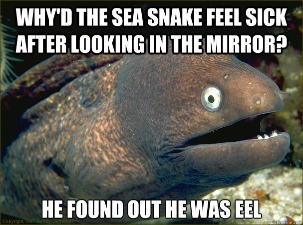 Why'd the sea snake feel sick after looking in the mirror? He found out he was eel  Bad Joke Eel