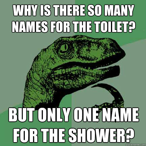 Why is there so many names for the Toilet? But only one name for The Shower?  Philosoraptor