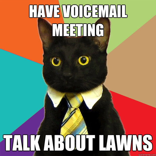 Have Voicemail Meeting Talk about lawns  Business Cat