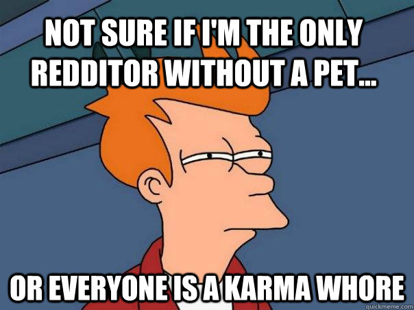 Not sure if i'm the only redditor without a pet... Or everyone is a karma whore  Futurama Fry