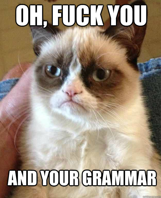 oh, fuck you and your grammar  Grumpy Cat