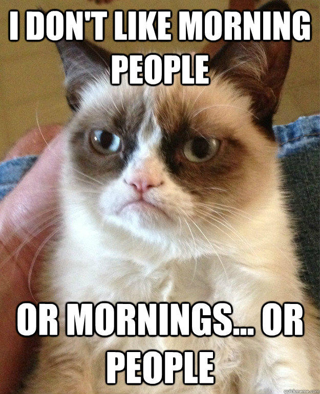 I don't like morning people Or mornings... or People  