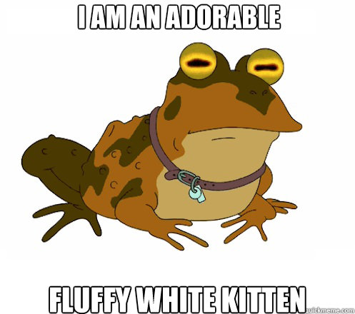 I am an adorable  fluffy white kitten   Hypnotoad