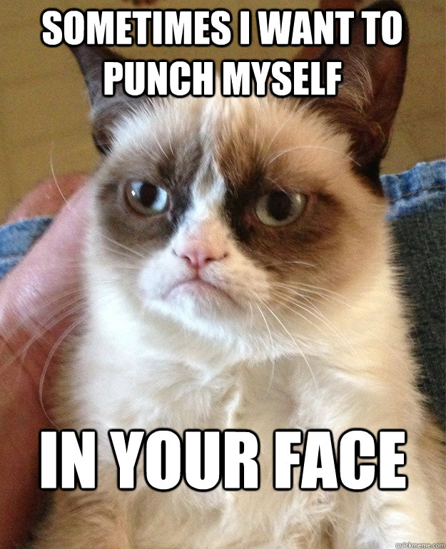 Sometimes I want to punch myself In your face  Grumpy Cat