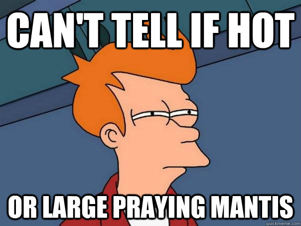 Can't Tell If hot Or large praying mantis  Futurama Fry