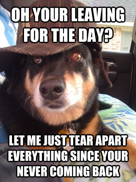 OH YOUR LEAVING FOR THE DAY? LET ME JUST TEAR APART EVERYTHING SINCE YOUR NEVER COMING BACK - OH YOUR LEAVING FOR THE DAY? LET ME JUST TEAR APART EVERYTHING SINCE YOUR NEVER COMING BACK  Misc