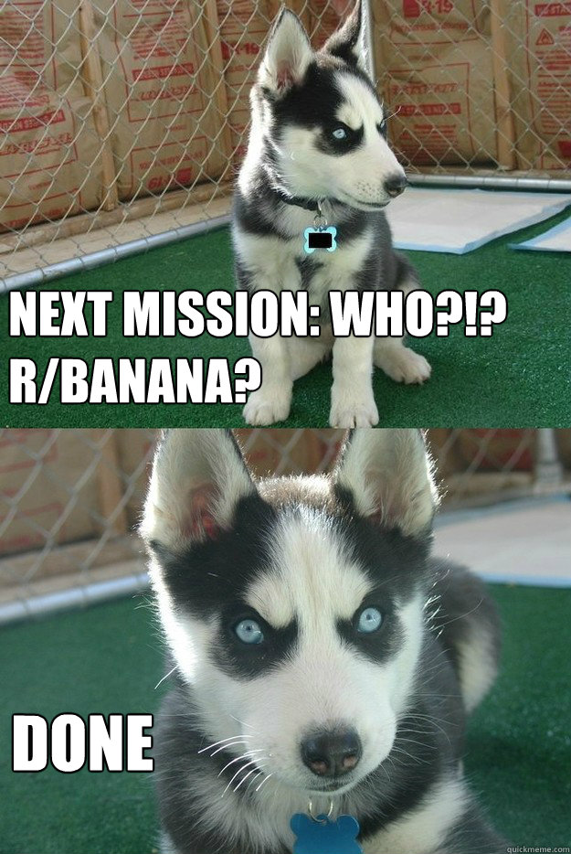 Next mission: Who?!? r/banana? done  Insanity puppy