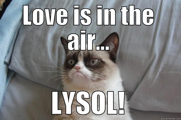 I Love Lysol - LOVE IS IN THE AIR... LYSOL! Grumpy Cat