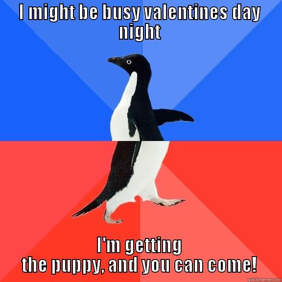 I MIGHT BE BUSY VALENTINES DAY NIGHT I'M GETTING THE PUPPY, AND YOU CAN COME! Socially Awkward Awesome Penguin