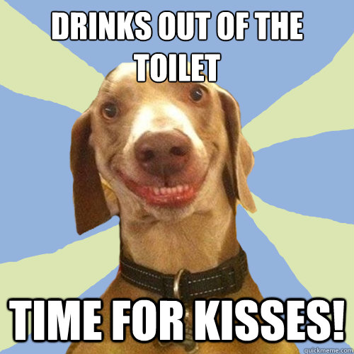 Drinks out of the toilet Time for kisses!  Disgusting Doggy