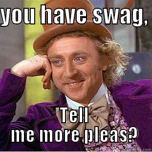 YOU HAVE SWAG,  TELL ME MORE PLEAS? Condescending Wonka