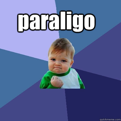 paraligo    Success Kid