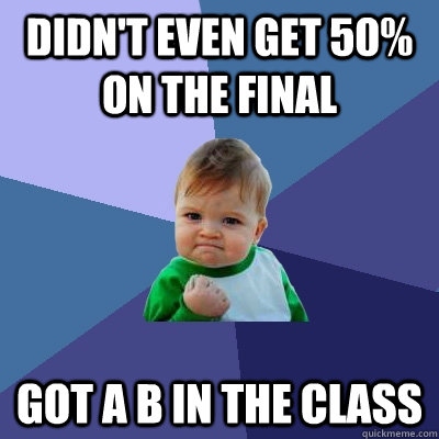 Didn't even get 50% on the final Got a B in the class  Success Kid